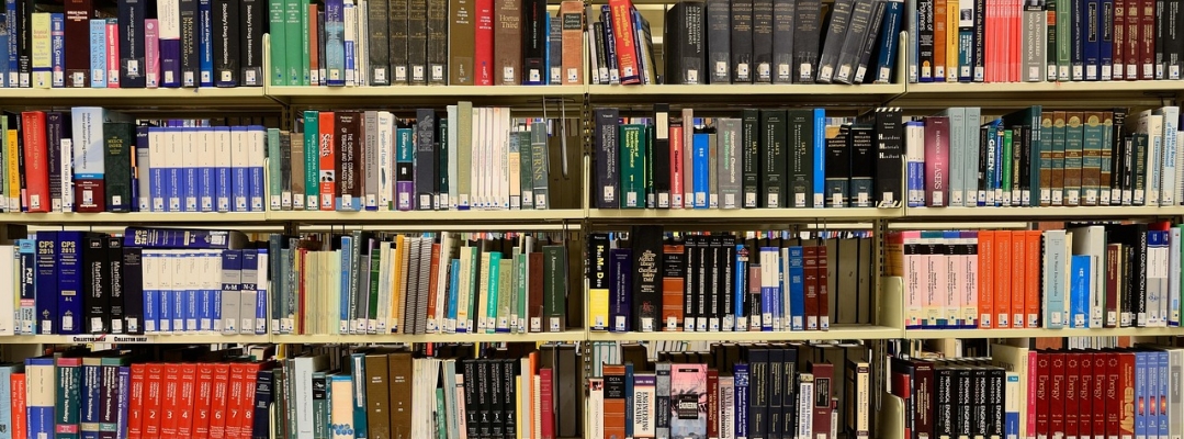 Z wizytą w Bibliotece Miejskiej